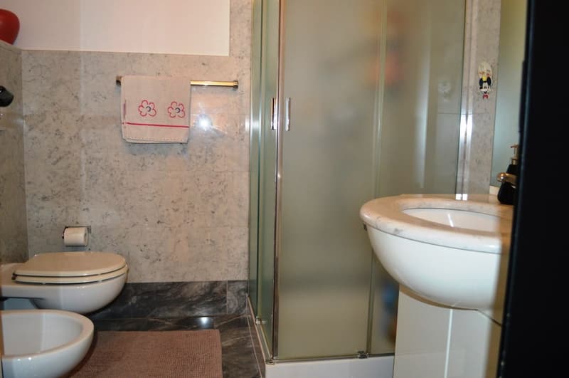 APPARTAMENTO 4.5 LOCALI DUPLEX CON GIARDINO (10)