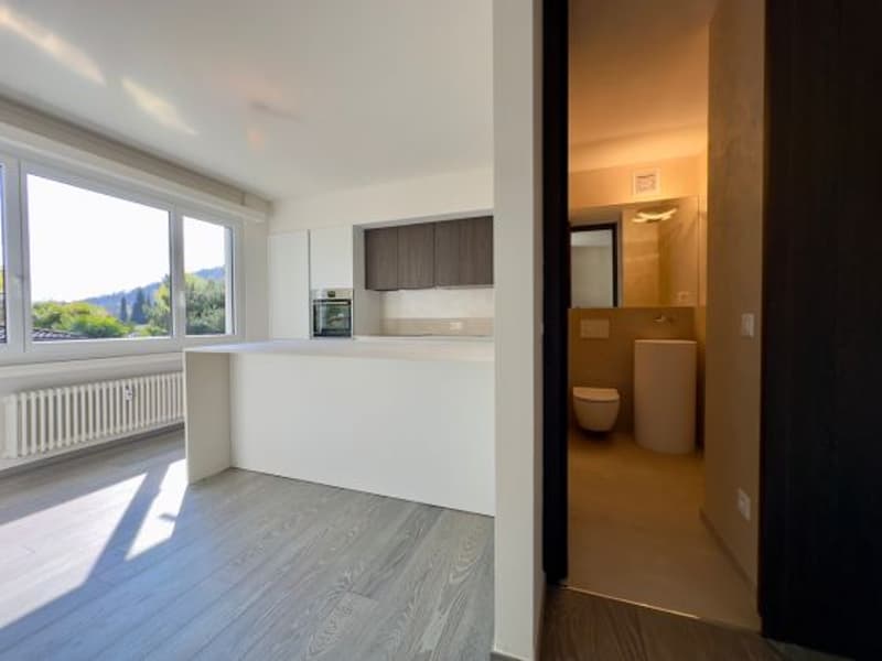 APPARTAMENTO 4.5 LOCALI RISTRUTTURATO - PISCINA CONDOMINIALE (3)
