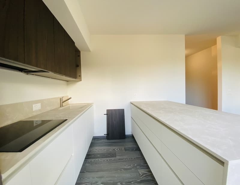 APPARTAMENTO 4.5 LOCALI RISTRUTTURATO - PISCINA CONDOMINIALE (4)