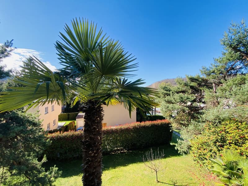 APPARTAMENTO 4.5 LOCALI RISTRUTTURATO - PISCINA CONDOMINIALE (11)
