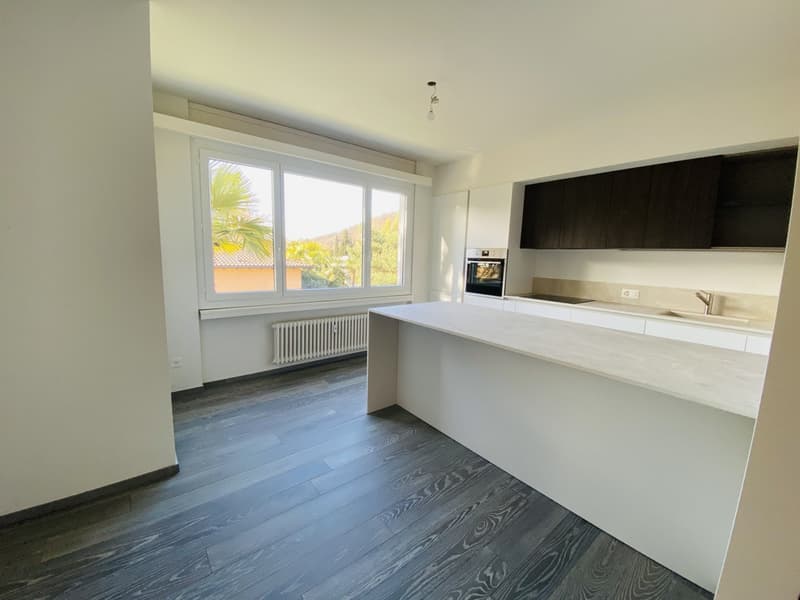 APPARTAMENTO 4.5 LOCALI RISTRUTTURATO - PISCINA CONDOMINIALE (5)
