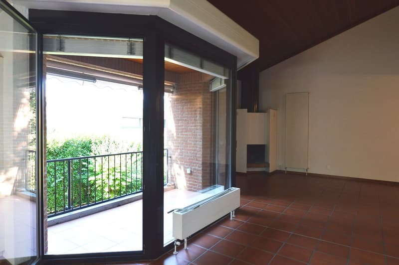 APPARTAMENTO 5.5 LOCALI DUPLEX CON TERRAZZA IN PICCOLO CONTESTO NEL VERDE (6)
