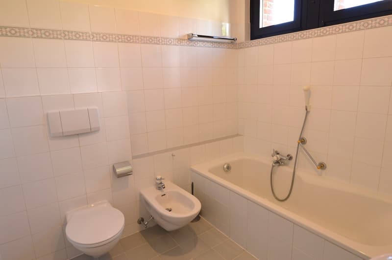 APPARTAMENTO 5.5 LOCALI DUPLEX CON TERRAZZA IN PICCOLO CONTESTO NEL VERDE (12)