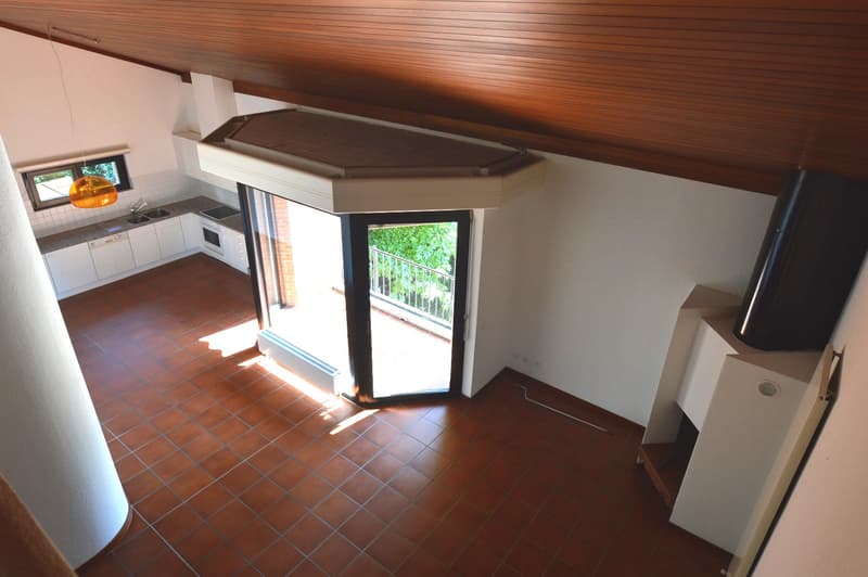APPARTAMENTO 5.5 LOCALI DUPLEX CON TERRAZZA IN PICCOLO CONTESTO NEL VERDE (2)
