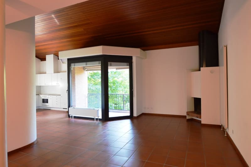 APPARTAMENTO 5.5 LOCALI DUPLEX CON TERRAZZA IN PICCOLO CONTESTO NEL VERDE (3)