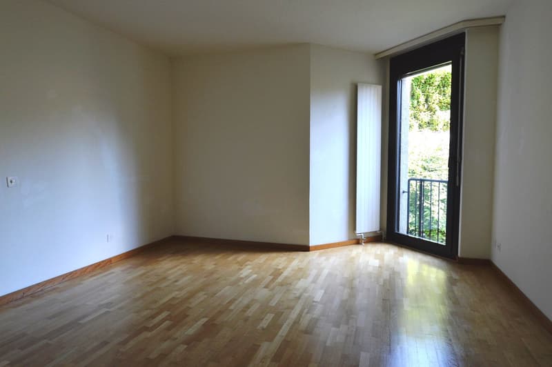 APPARTAMENTO 5.5 LOCALI DUPLEX CON TERRAZZA IN PICCOLO CONTESTO NEL VERDE (9)