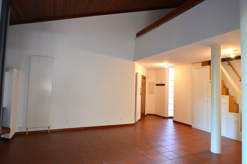 APPARTAMENTO 5.5 LOCALI DUPLEX CON TERRAZZA IN PICCOLO CONTESTO NEL VERDE (8)