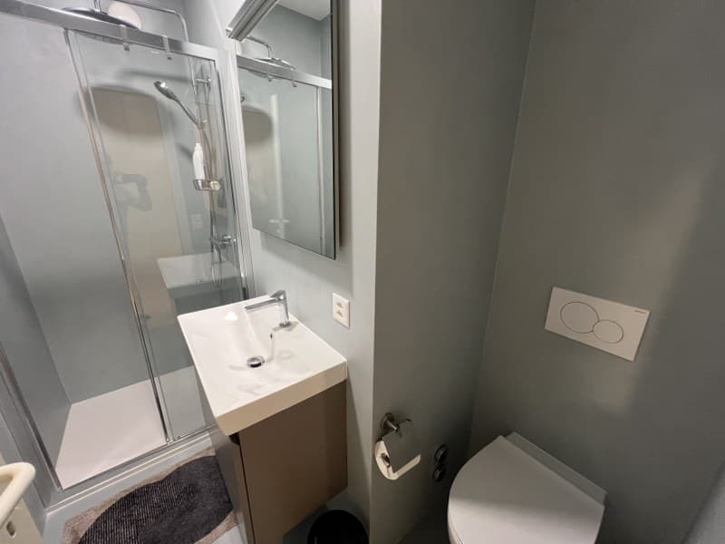PRESTIGIOSO ATTICO DI  3.5 LOCALI A BORDO LAGO (13)