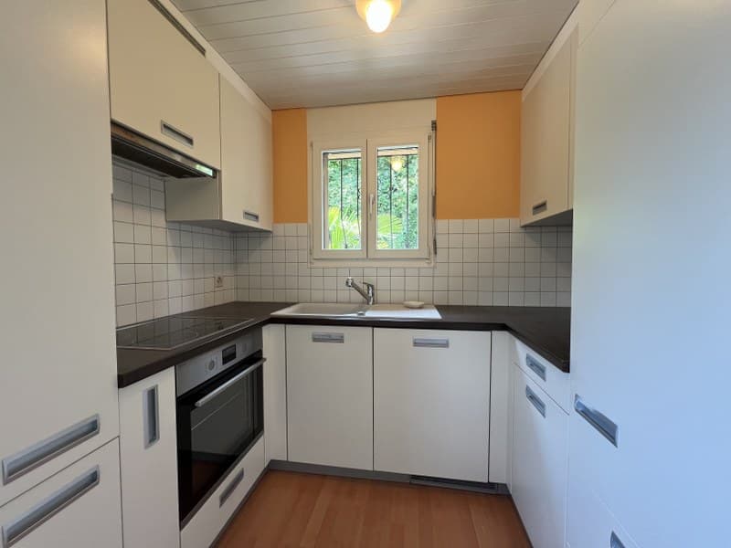 SPAZIOSO APPARTAMENTO 3.5 LOCALI CON SPLENDIDA VISTA LAGO (8)