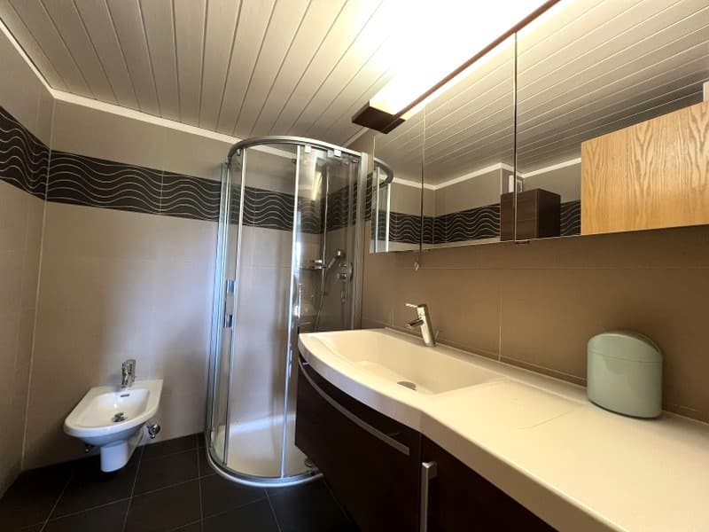 SPAZIOSO APPARTAMENTO 3.5 LOCALI CON SPLENDIDA VISTA LAGO (12)
