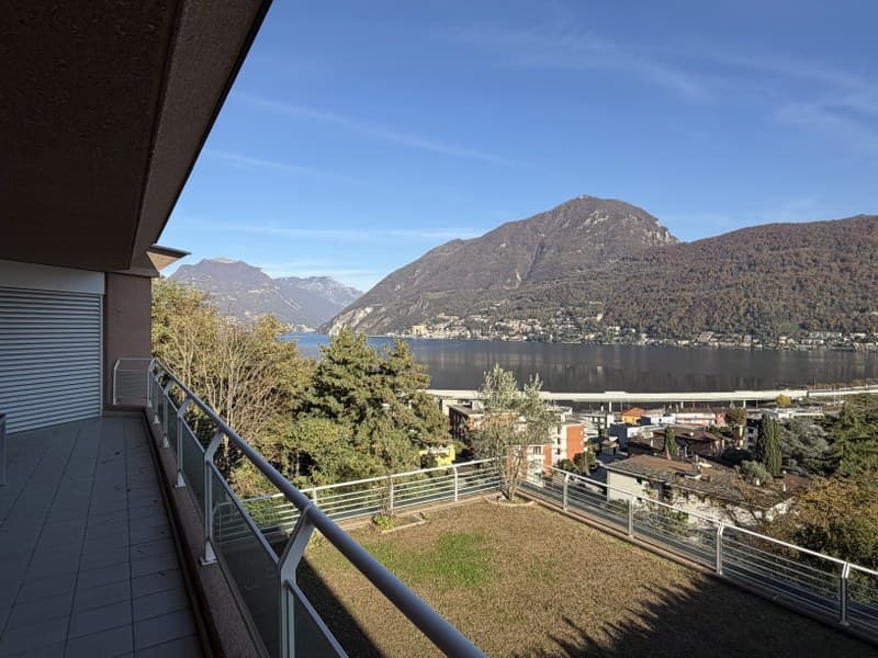 ATTICO 3.5 LOCALI CON SPLENDIDA TERRAZZA CON VISTA SUL LAGO (1)