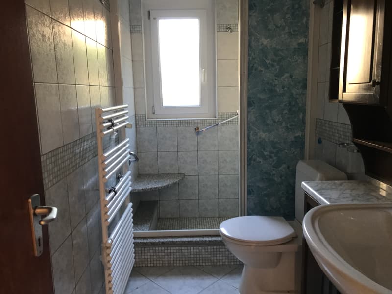 NUOVO PREZZO - OCCASIONE UNICA - AMPIA CASA UNIFAMILIARE - 5.5 LOCALI CON GIARDINO (12)