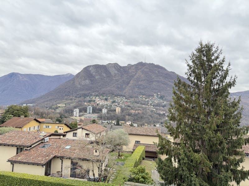 APPARTAMENTO ATTICO 5.5 LOCALI CON TERRAZZA E VISTA APERTA (2)