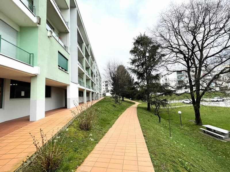 LUMINOSO DUPLEX DI 4.5 LOCALI CON BALCONI E VISTA APERTA SULLE COLLINE CIRCOSTANTI. (2)