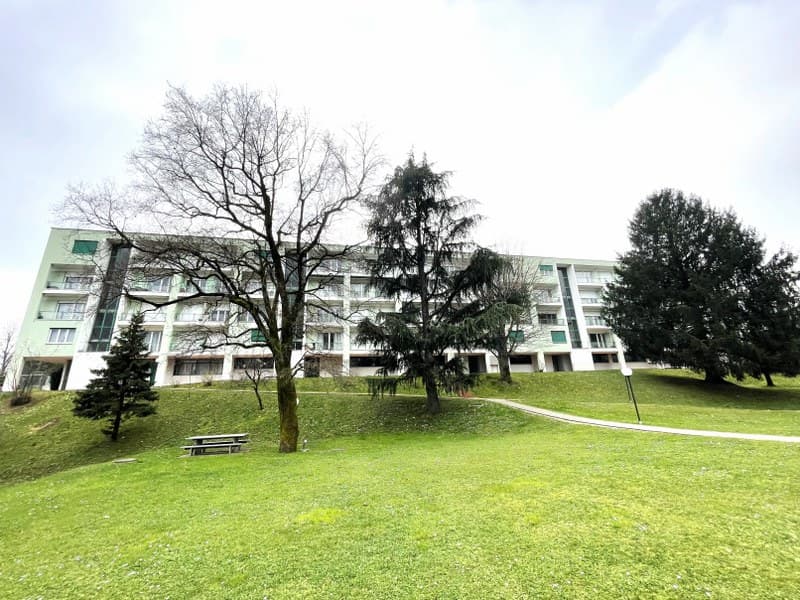 LUMINOSO DUPLEX DI 4.5 LOCALI CON BALCONI E VISTA APERTA SULLE COLLINE CIRCOSTANTI. (3)