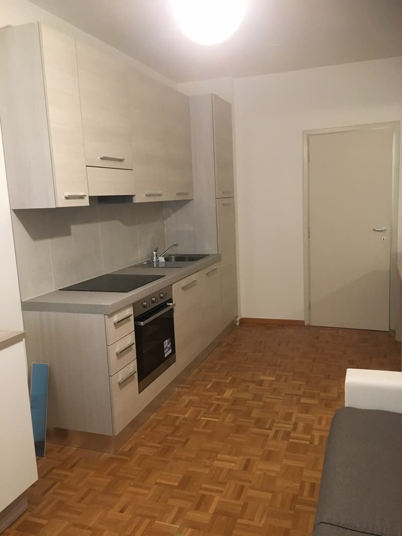 APPARTAMENTO 2.5 LOCALI COMPLETAMENTE ARREDATO (4)