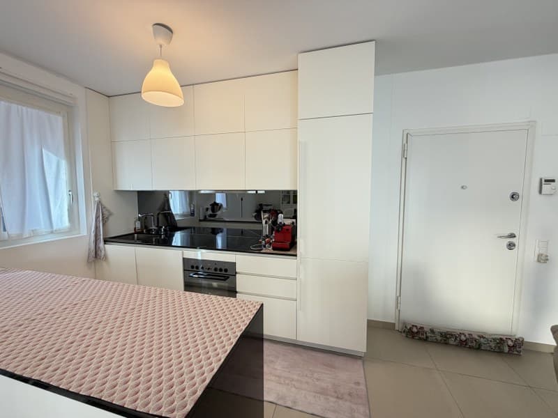 ELEGANTE APPARTAMENTO DI 2.5 LOCALI NEL CUORE DI LUGANO (2)