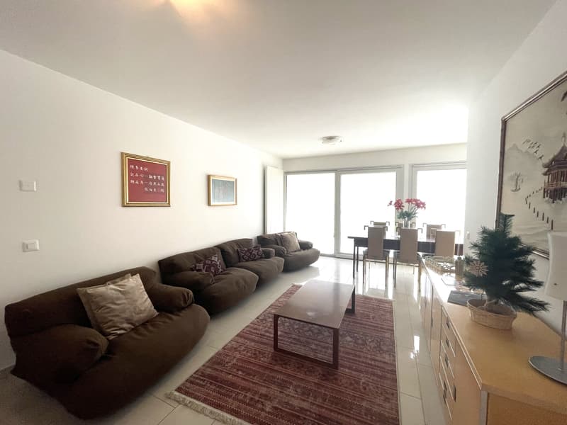 APPARTAMENTO ARREDATO 3.5 LOCALI CON GIARDINO PRIVATO (7)