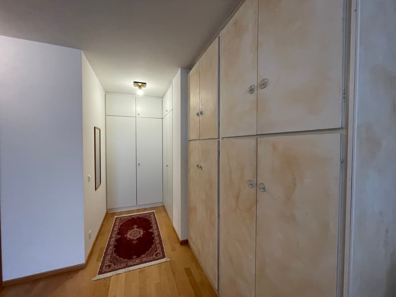 APPARTAMENTO ARREDATO 3.5 LOCALI CON GIARDINO PRIVATO (13)
