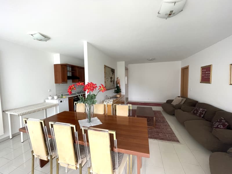 APPARTAMENTO ARREDATO 3.5 LOCALI CON GIARDINO PRIVATO (4)