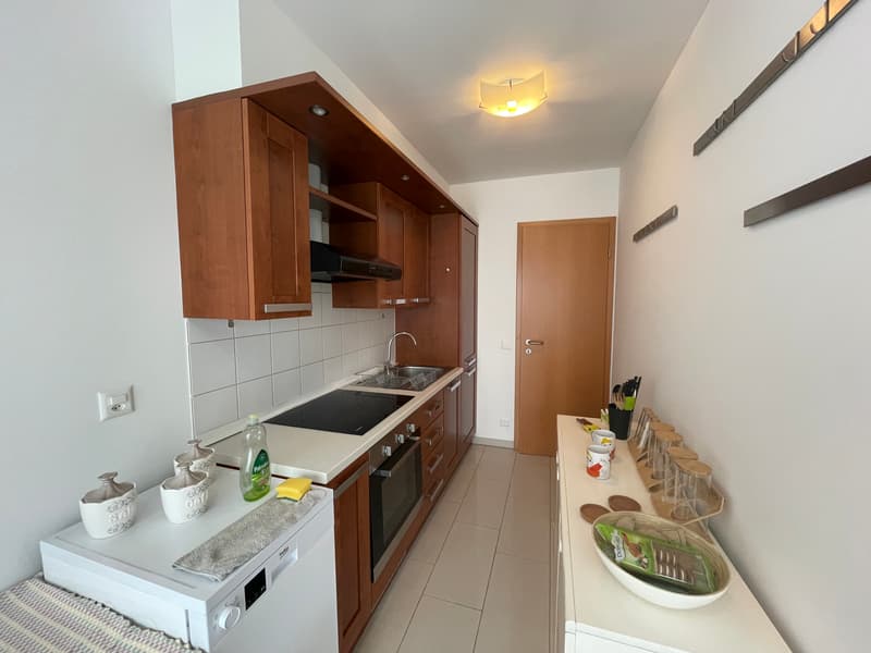 APPARTAMENTO ARREDATO 3.5 LOCALI CON GIARDINO PRIVATO (5)
