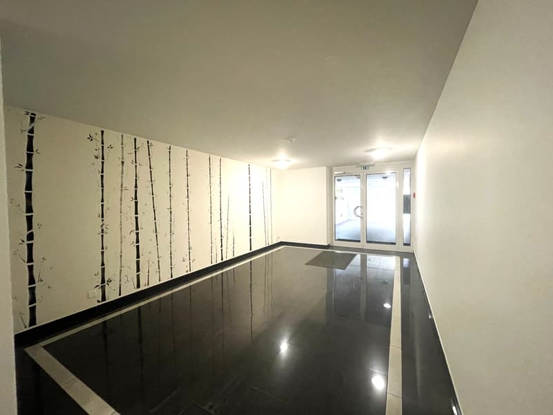 APPARTAMENTO ARREDATO 3.5 LOCALI CON GIARDINO PRIVATO (9)
