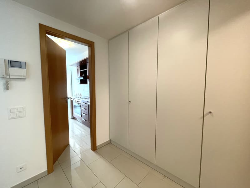 APPARTAMENTO ARREDATO 3.5 LOCALI CON GIARDINO PRIVATO (8)