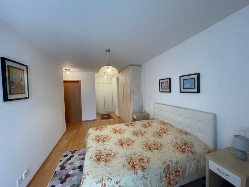 APPARTAMENTO ARREDATO 3.5 LOCALI CON GIARDINO PRIVATO (12)