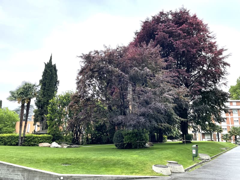 APPARTAMENTO ARREDATO 3.5 LOCALI CON GIARDINO PRIVATO (2)