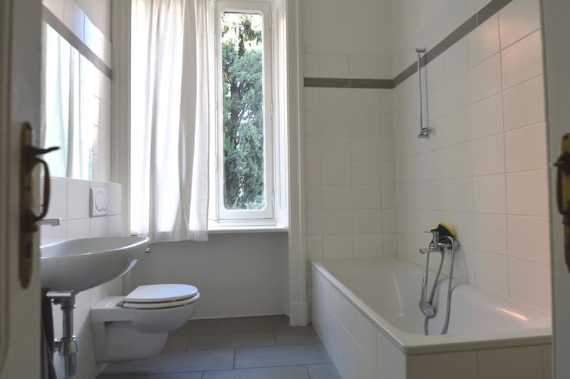 APPARTAMENTO 3.5 LOCALI IN VILLA D'EPOCA (8)