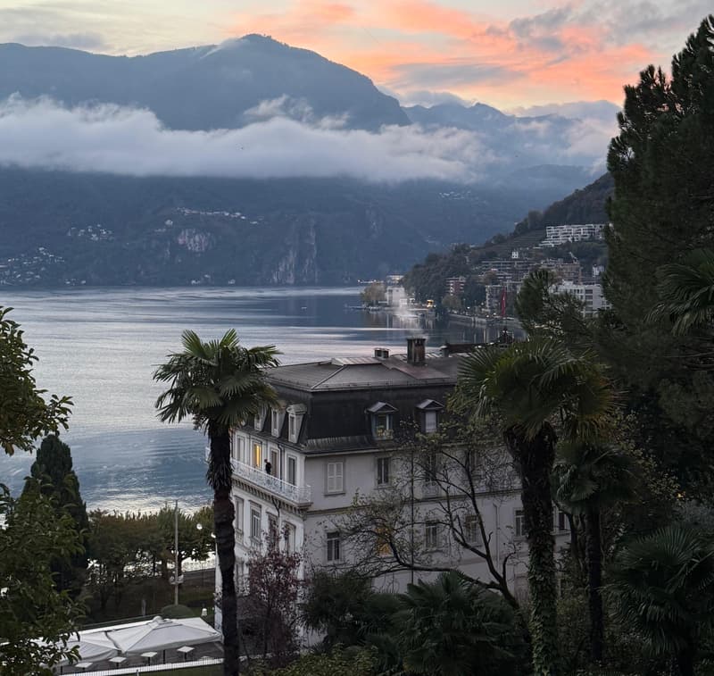 APPARTAMENTO 3.5 LOCALI IN VILLA D'EPOCA (9)