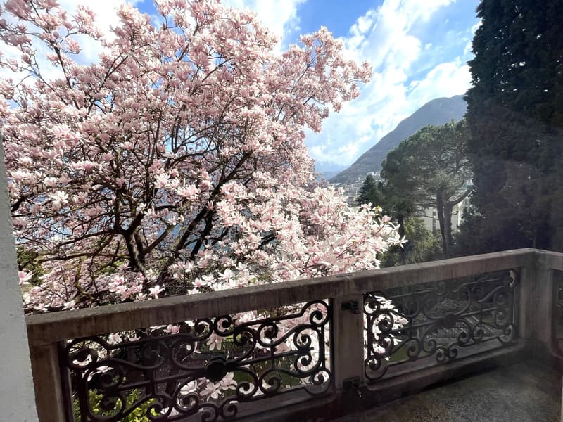 APPARTAMENTO 3.5 LOCALI IN VILLA D'EPOCA (6)