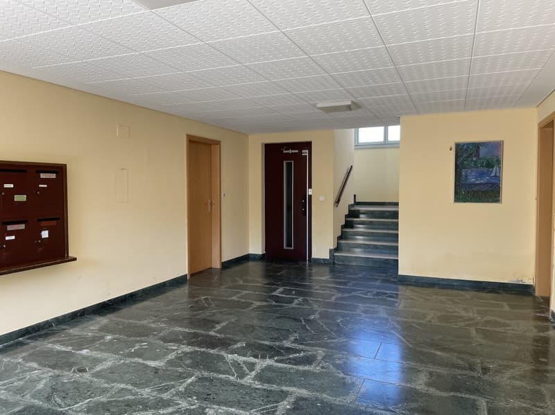 SPAZIOSO APPARTAMENTO DI 4.5 LOCALI CON TERRAZZA E VISTA APERTA (11)
