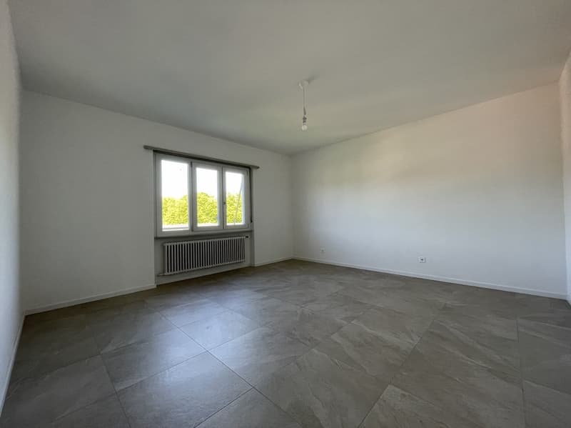 SPAZIOSO APPARTAMENTO DI 4.5 LOCALI CON TERRAZZA E VISTA APERTA (8)