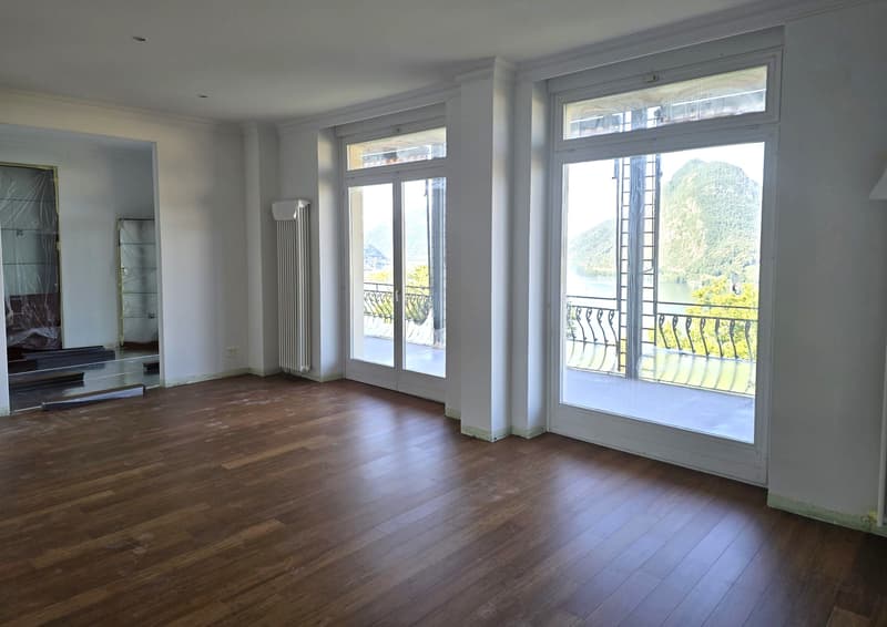 APPARTAMENTO 5.5 LOCALI CON MERAVIGLIOSA VISTA LAGO (4)