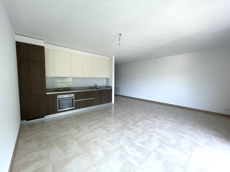 APPARTAMENTO 3.5 LOCALI CON AMPIA TERRAZZA E VISTA APERTA (4)