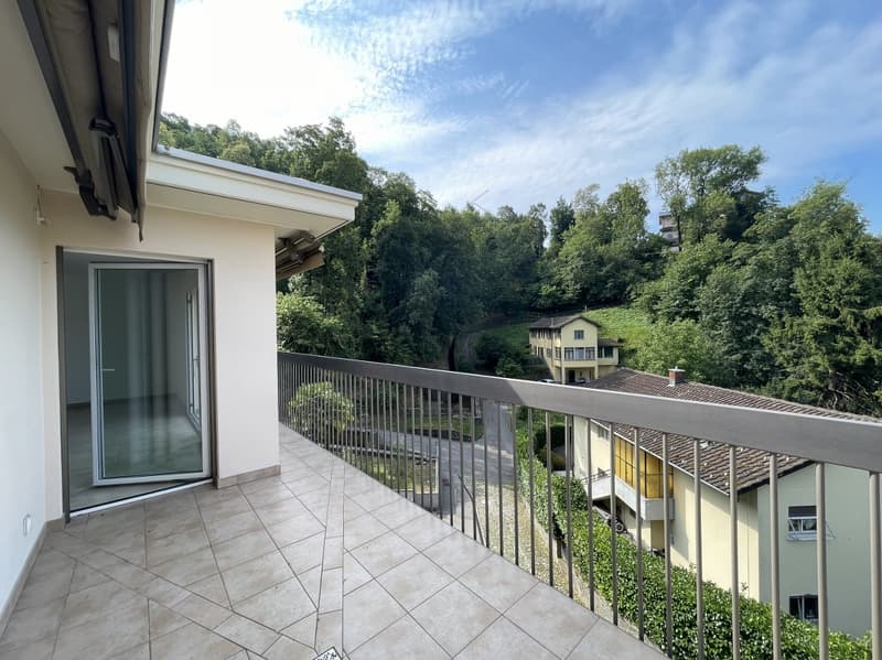 APPARTAMENTO 3.5 LOCALI CON AMPIA TERRAZZA E VISTA APERTA (2)