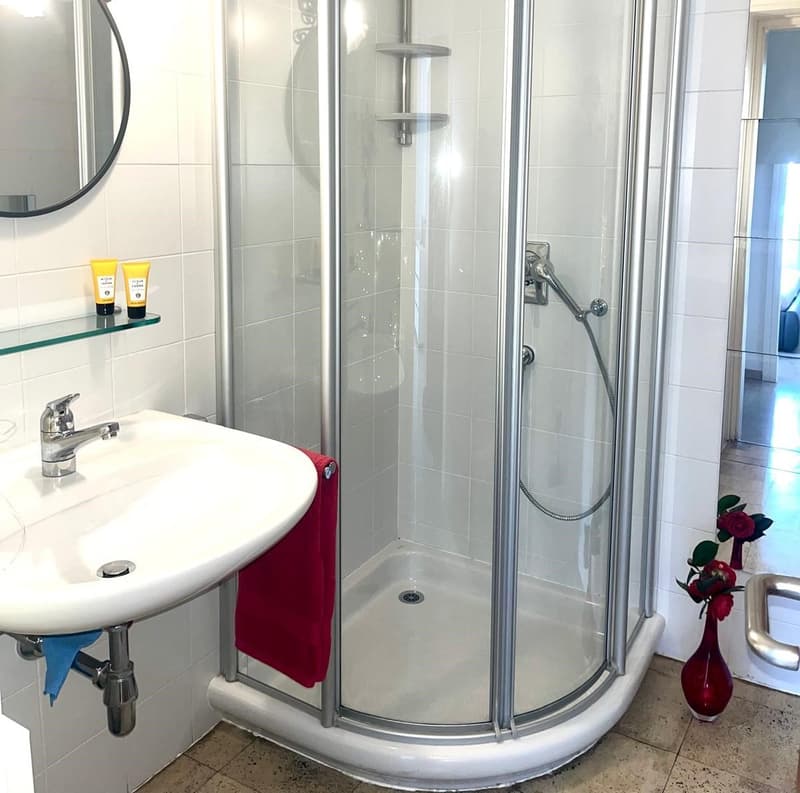 APPARTAMENTO 2.5 LOCALI CON MERAVIGLIOSA VISTA LAGO (12)