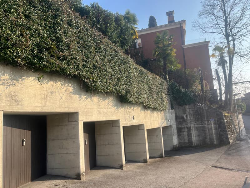 APPARTAMENTO 2.5 LOCALI CON MERAVIGLIOSA VISTA LAGO (13)
