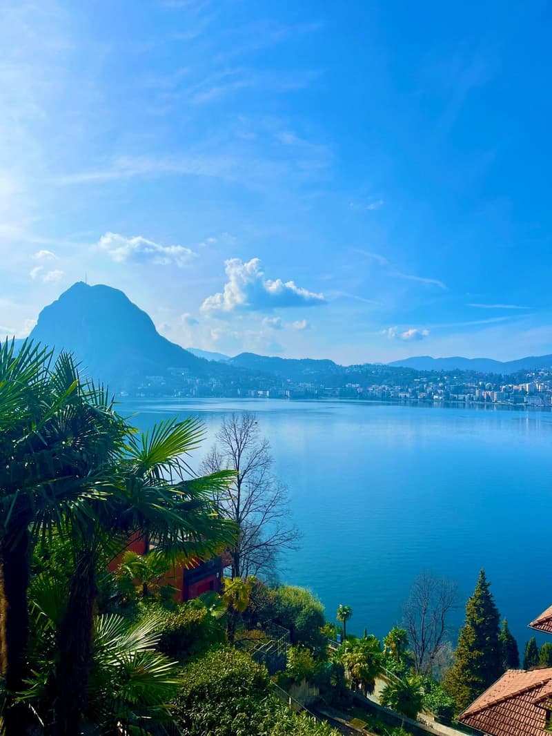 APPARTAMENTO 2.5 LOCALI CON MERAVIGLIOSA VISTA LAGO (1)
