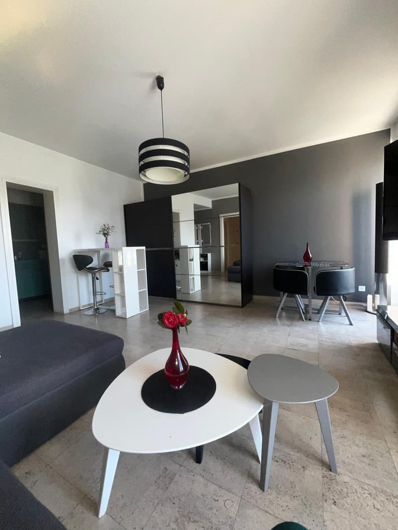 APPARTAMENTO 2.5 LOCALI CON MERAVIGLIOSA VISTA LAGO (2)