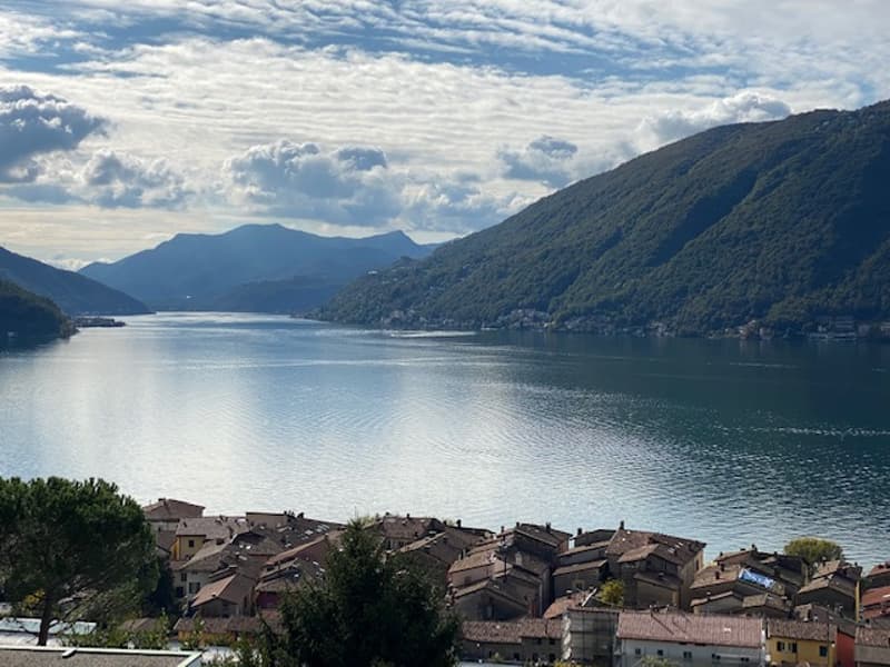 APPARTAMENTO 5.5 LOCALI CON MERAVIGLIOSA VISTA LAGO (1)