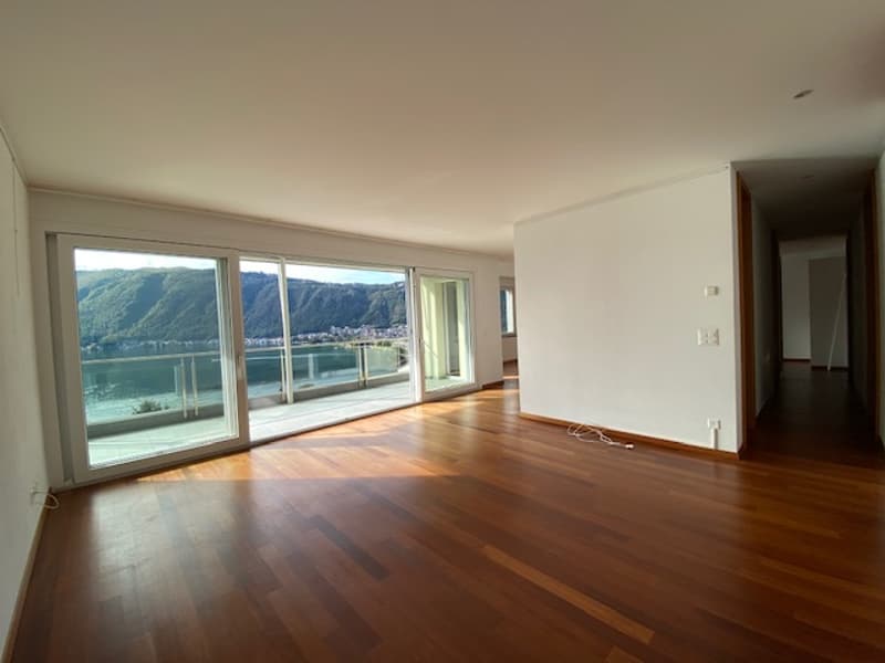 APPARTAMENTO 5.5 LOCALI CON MERAVIGLIOSA VISTA LAGO (7)