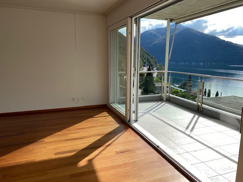 APPARTAMENTO 5.5 LOCALI CON MERAVIGLIOSA VISTA LAGO (5)