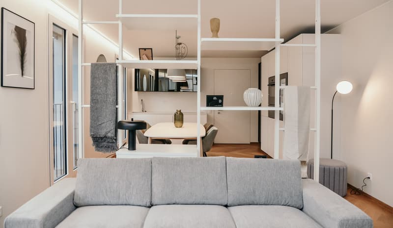FANTASTICO APPARTAMENTO 3.5 LOCALI  ARREDATO - CON SPLENDIDA VISTA SUL LAGO DI LUGANO (2)