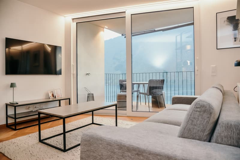 FANTASTICO APPARTAMENTO 3.5 LOCALI  ARREDATO - CON SPLENDIDA VISTA SUL LAGO DI LUGANO (3)