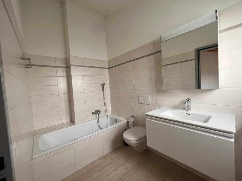 APPARTAMENTO 3.5 LOCALI MANSARDATO (7)