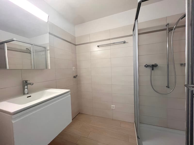 APPARTAMENTO 3.5 LOCALI MANSARDATO (8)