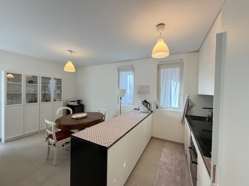 ELEGANTE APPARTAMENTO DI 2.5 LOCALI NEL CUORE DI LUGANO (2)