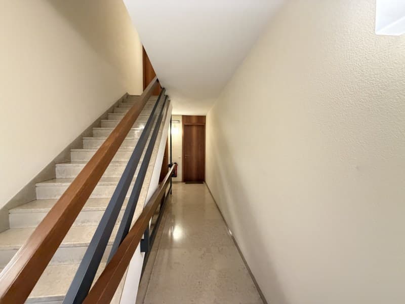 2.5 LOCALI CON TERRAZZA E PARZIALE VISTA LAGO PARADISO (11)